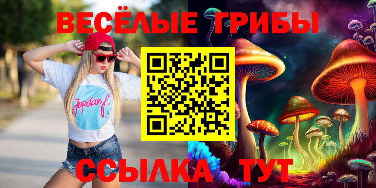 Чернушка  Псилоцибиновые грибы Cubensis  цены наркотик  Вход с VPN 