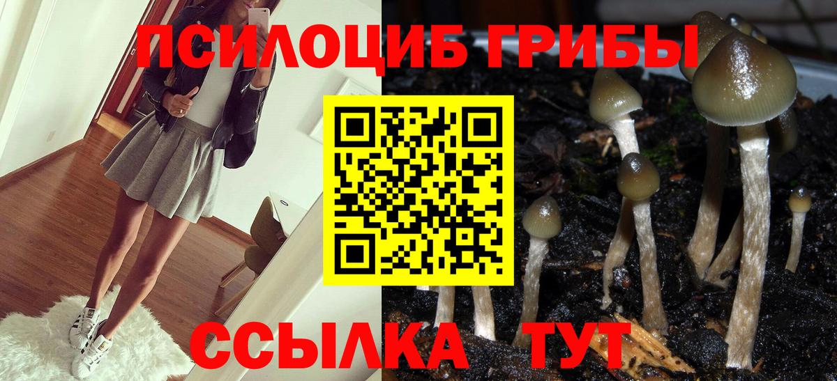 Галлюциногенные грибы мухоморы Чернушка